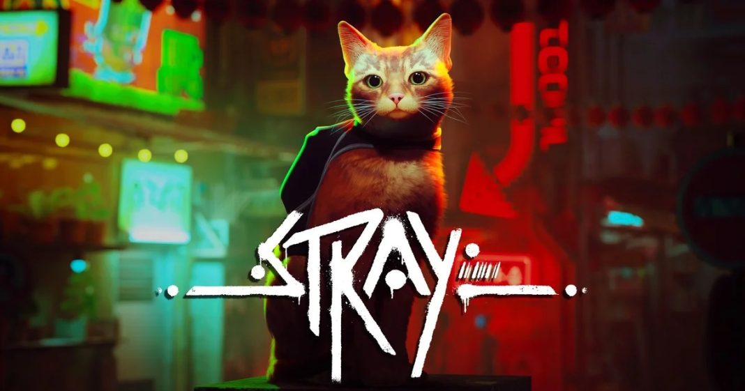 Stray, gatito protagonista del juego de aventuras.